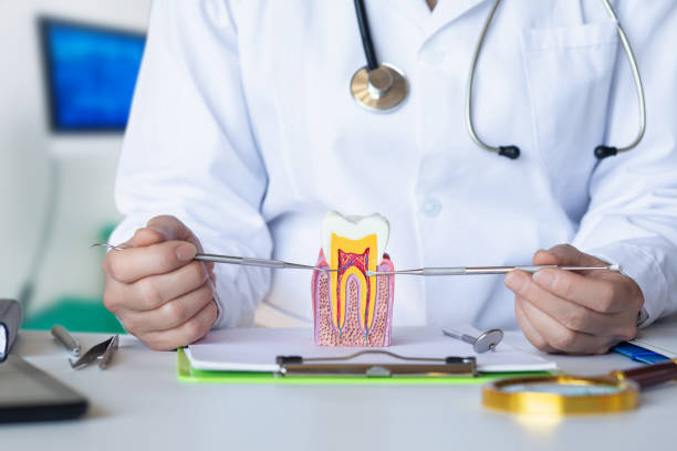 Best Emergency Treatment for Dental Infections or Abscesses in Palmyra, WI